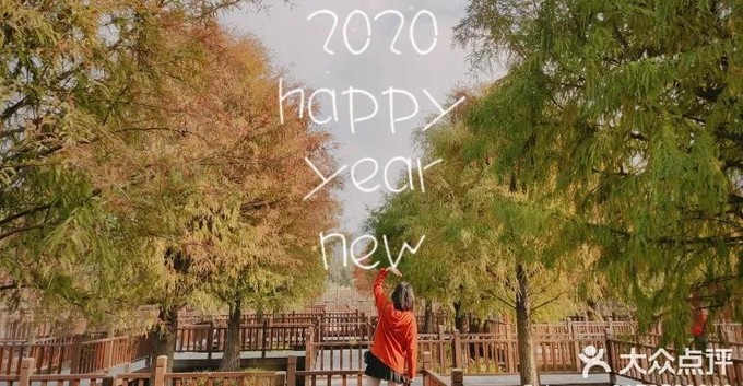 2023年厦门自由行热门攻略,厦门春节旅游攻略自由行最佳路线