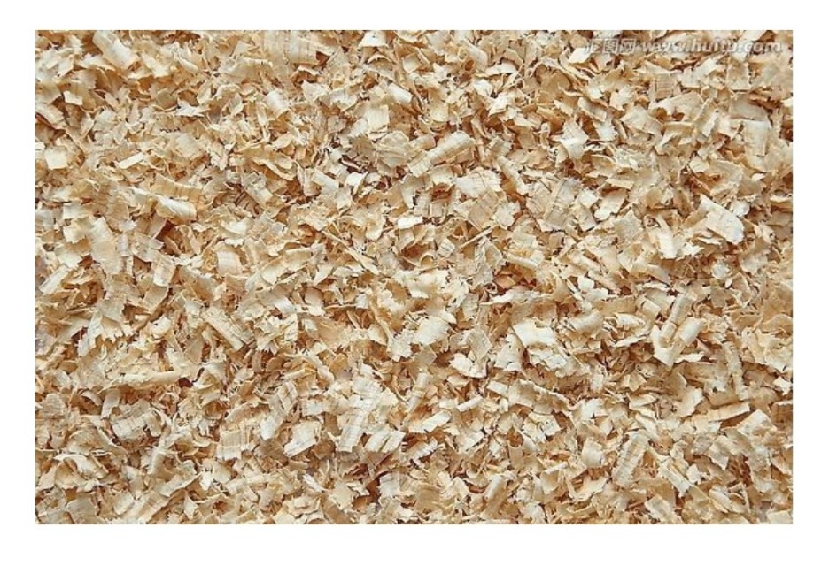 家里有蚂蚁驱除妙招,驱除蚂蚁最有效的方法