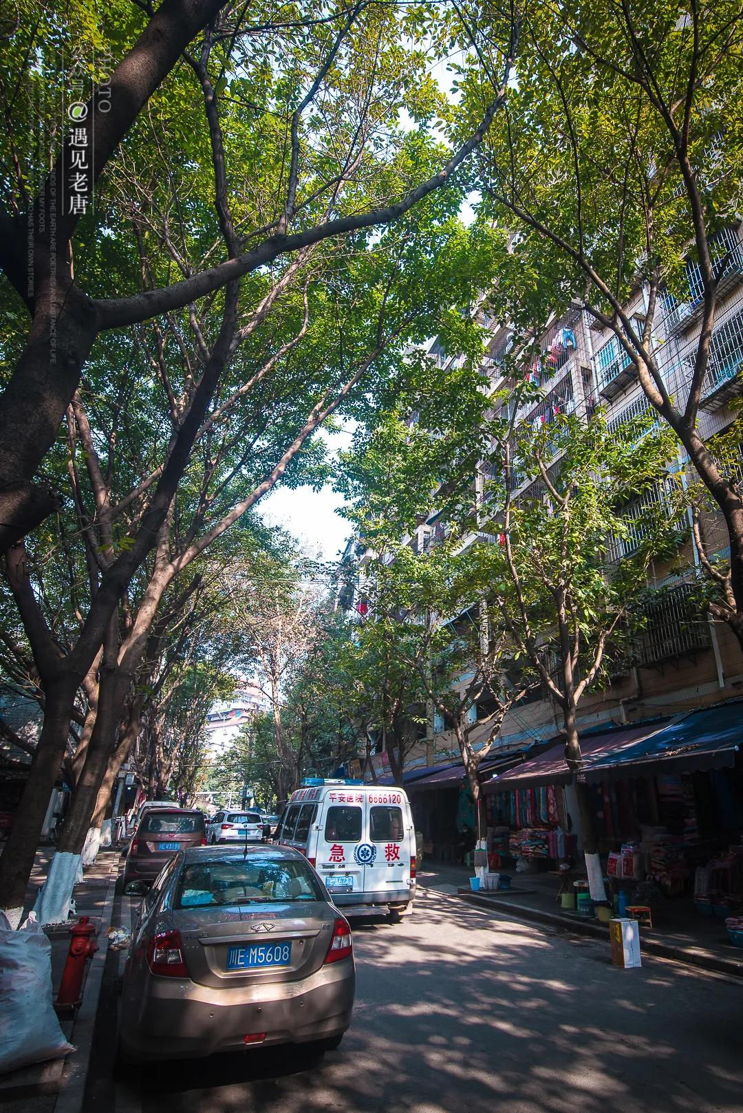 老泸州的回忆,泸州小市老城区