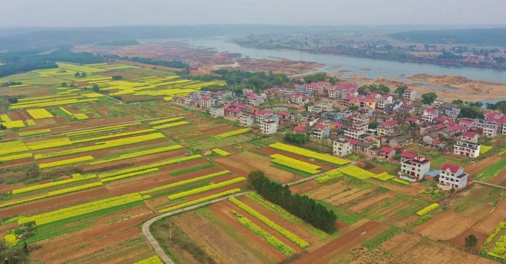 【谁不说咱家乡美】美丽中国，“乡”约万安（河西片）