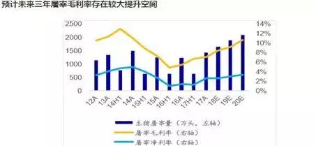 双汇发展的优势和风险总结,双汇发展的风险