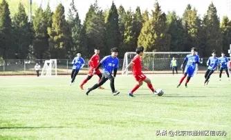 通州区体育运动线下训练全面恢复,青少年们青春激扬训练场