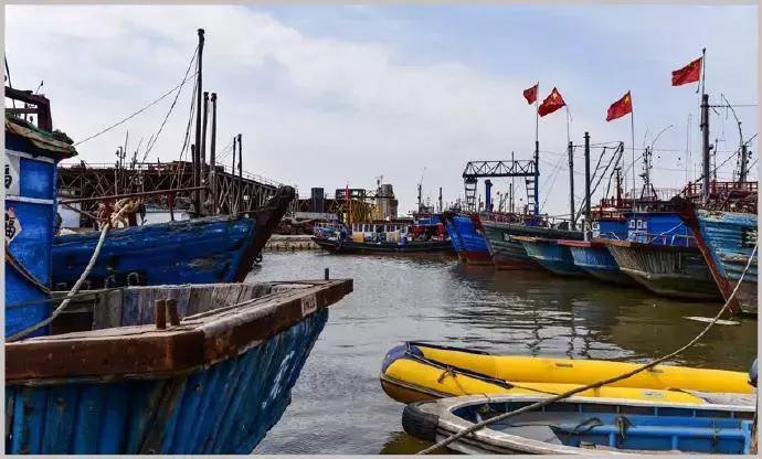有一种炫富叫青岛开海,有一种炫富叫青岛开海了