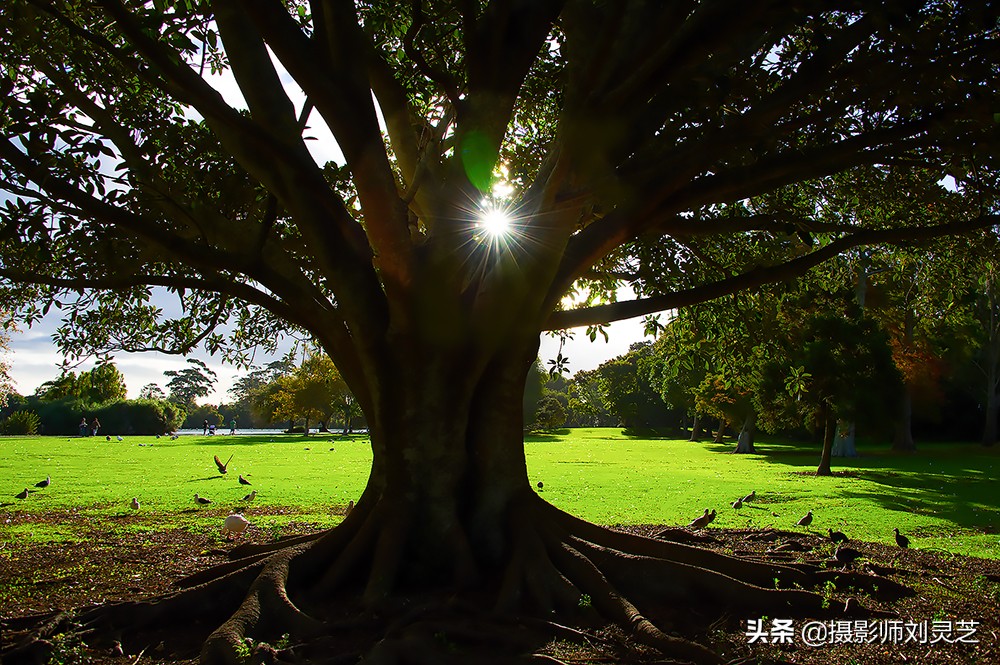 自驾新西兰箭镇,自驾新西兰纪录片