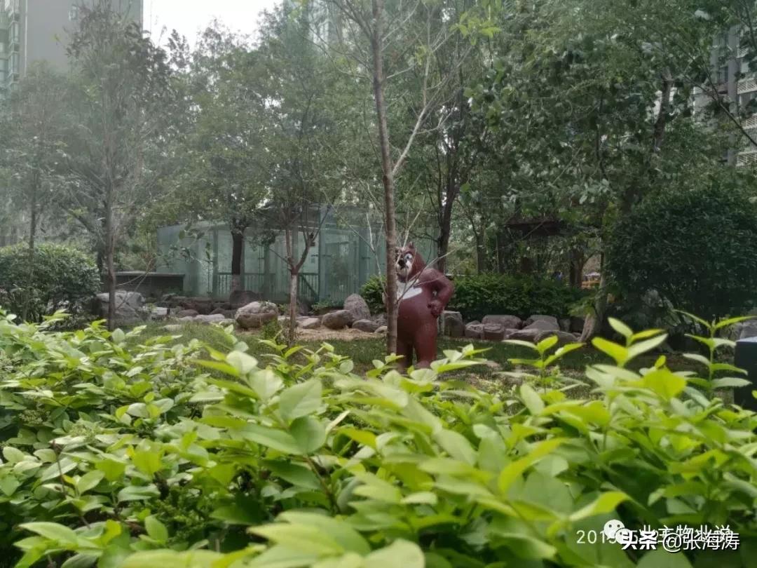 赞！旧貌换新颜，只因小区有了业主大会