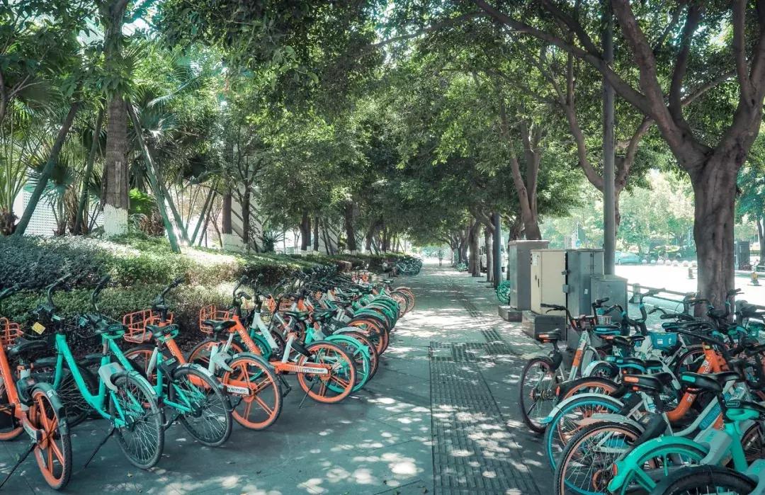 荷花池vs春熙路,成都荷花池攻略技巧