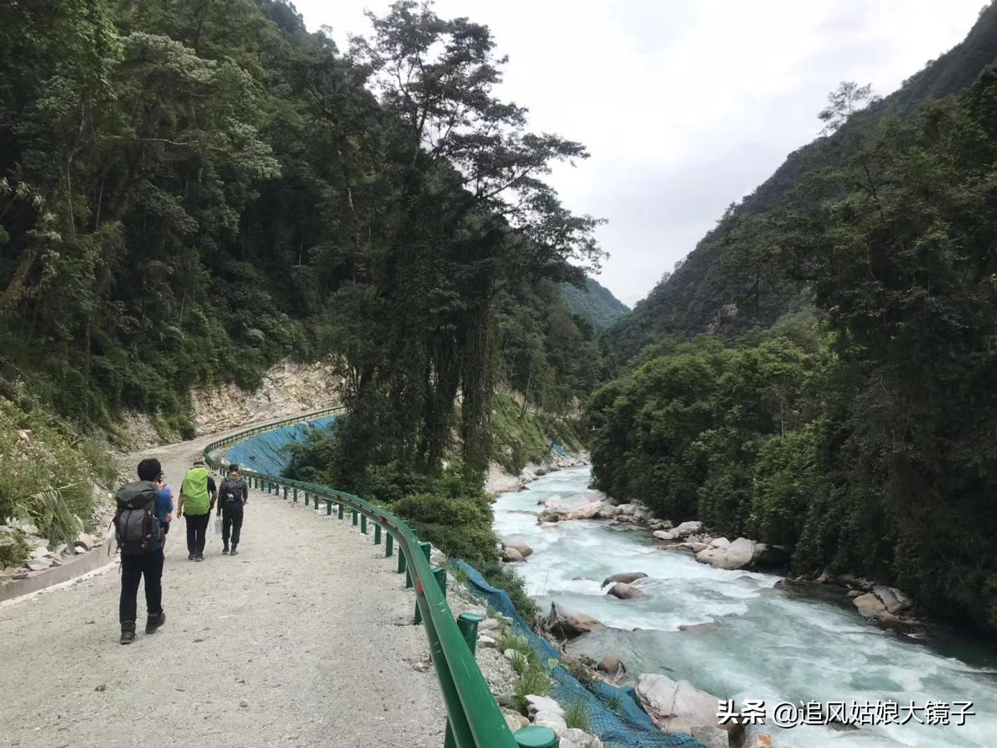 穿越到原始森林里面,穿越原始森林来种田
