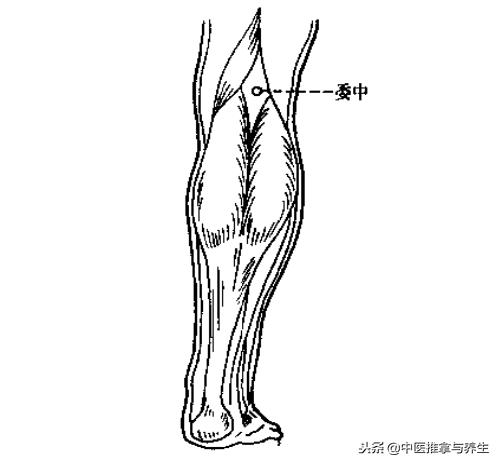 体内水湿怎么去除？按揉穴位即可解决！