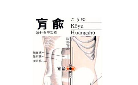 肓俞穴怎么按,穴位识别教学