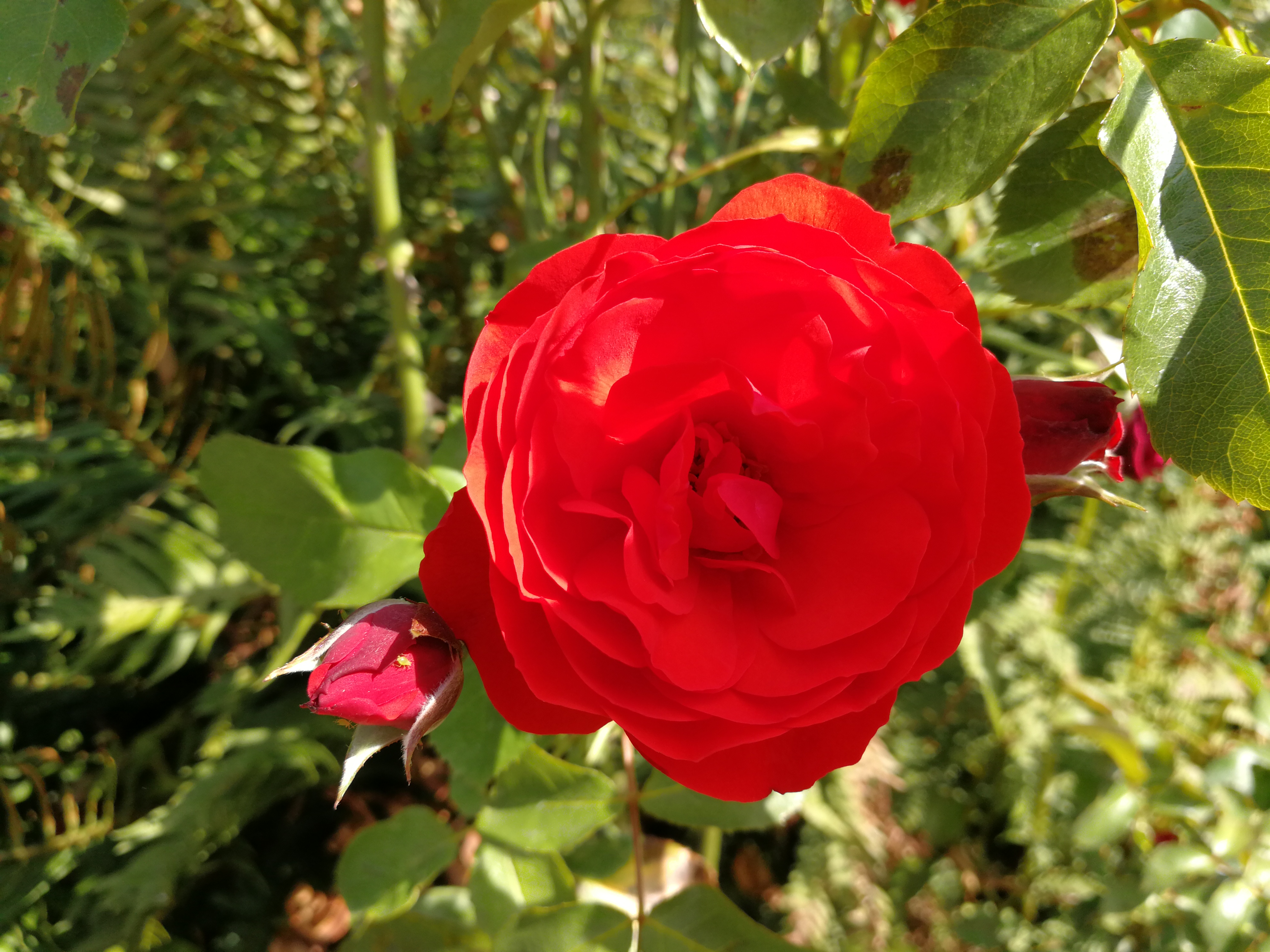 一般人不知道的银行,很多人不知道贷款