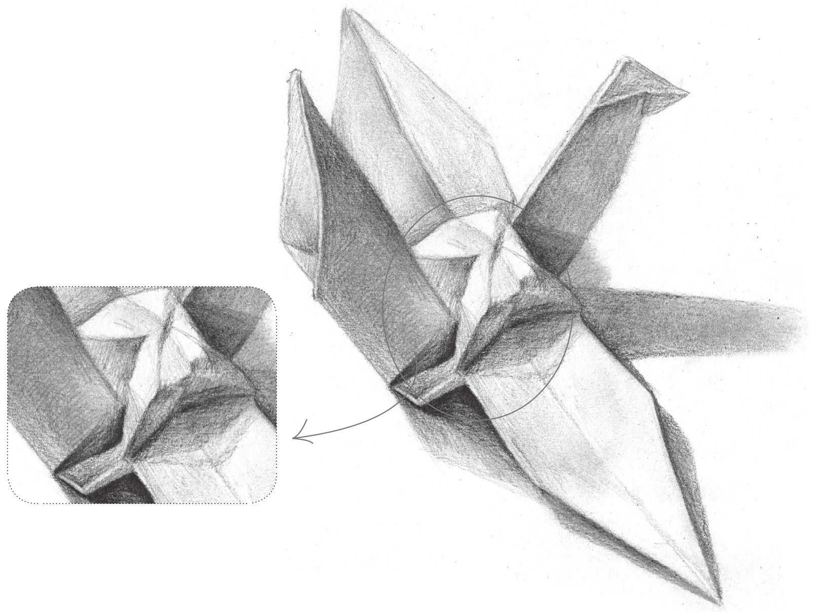 纸鹤的画法大全,简单易学的纸鹤教程