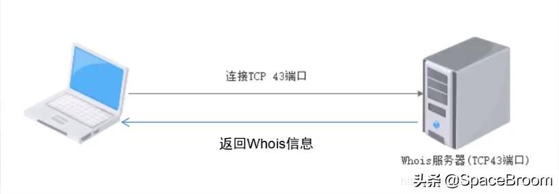 二十二，渗透网站信息，域名信息、端口信息、敏感信息及指纹信息