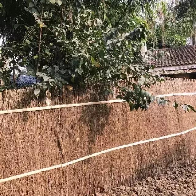 90后小伙花100万造房子,90后小伙花几千元装修500个平方