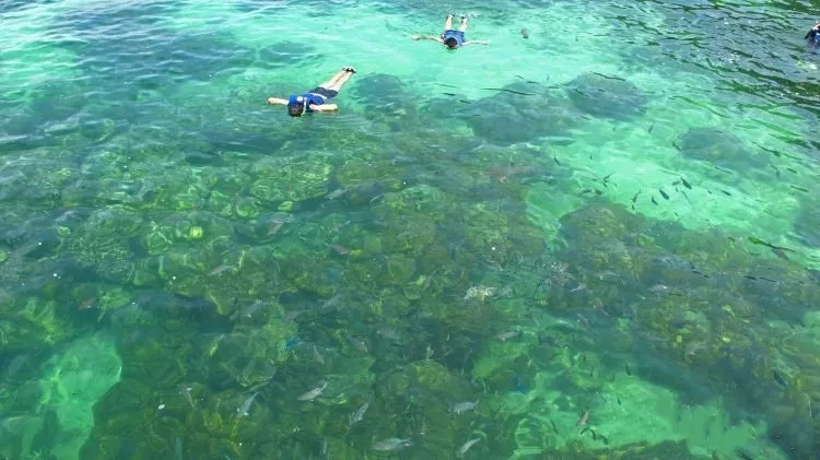 三亚旅游玩水上项目避坑指南,三亚六罗峡谷雨林运动旅游区