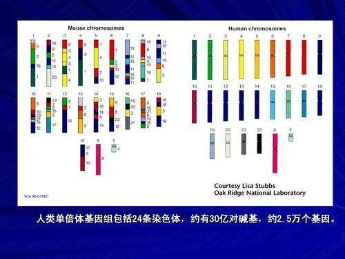 一本书读懂进化论电子版,一本书读懂进化论txt下载