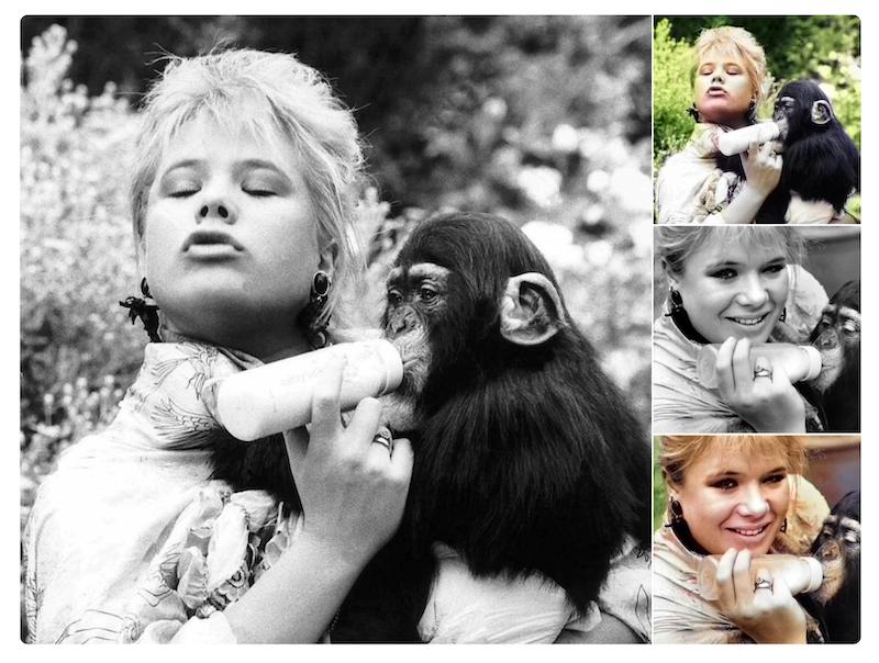 不用ps就能做好图的网站,ps作图免费网站