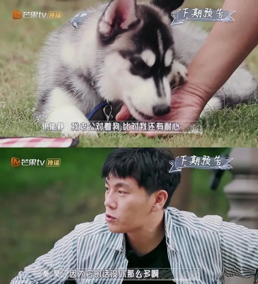 为披荆斩棘的哥哥打call的明星,明星为披荆斩棘的哥哥打call