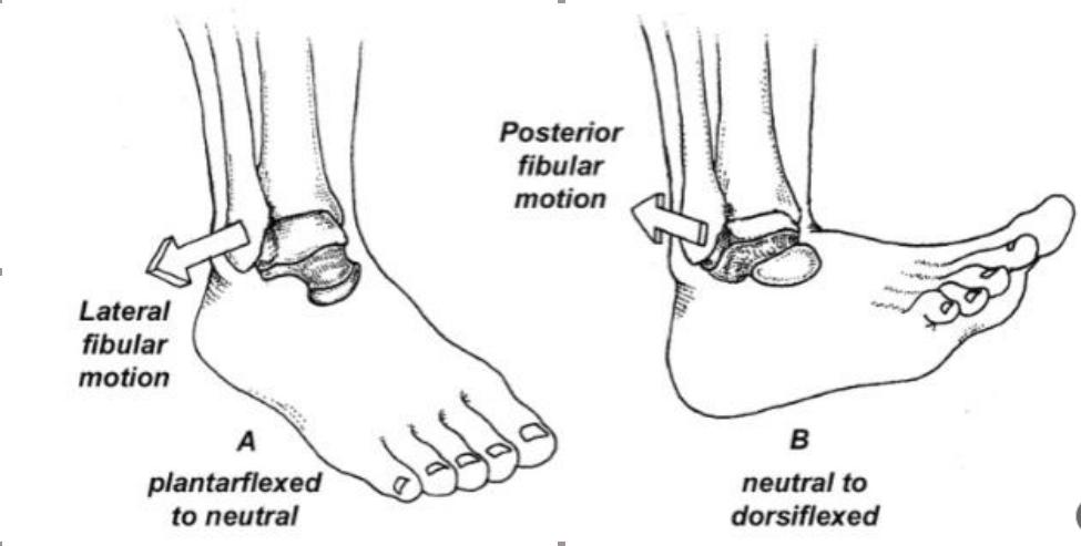 踝关节扭伤两个多月走路还跛脚,踝关节扭伤五个月了走路很痛还肿