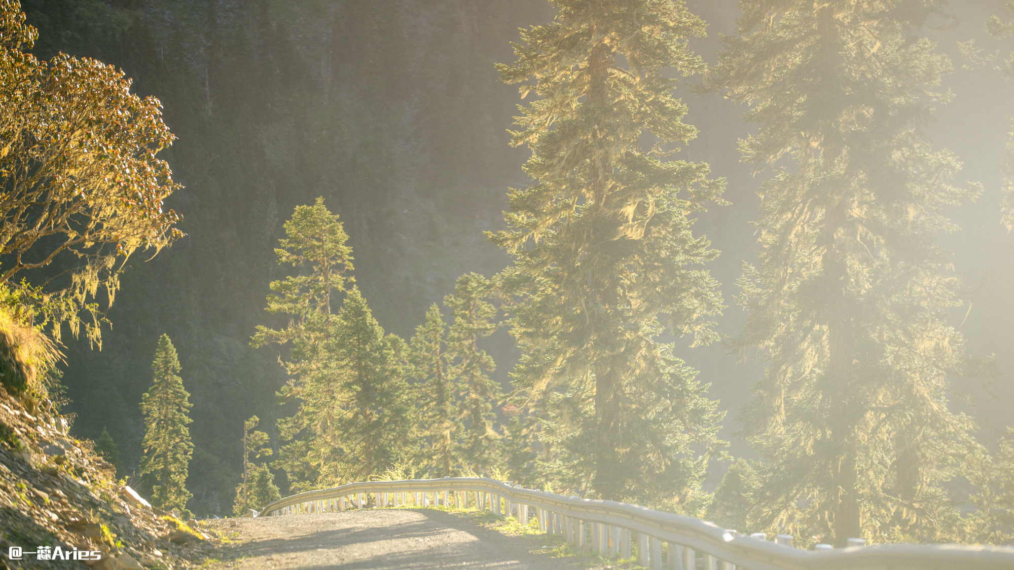 成都周边秋天美到极致的秋色,成都近郊游最美秋色