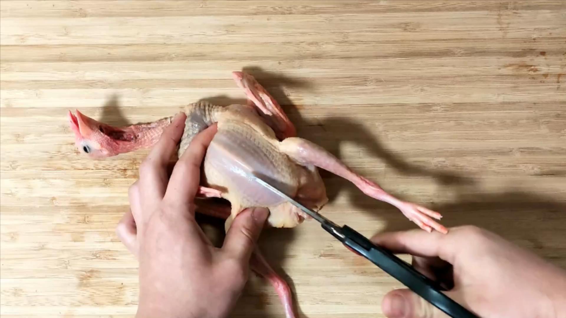 鸽子十大毒素排名,鸽子的毒素在哪里