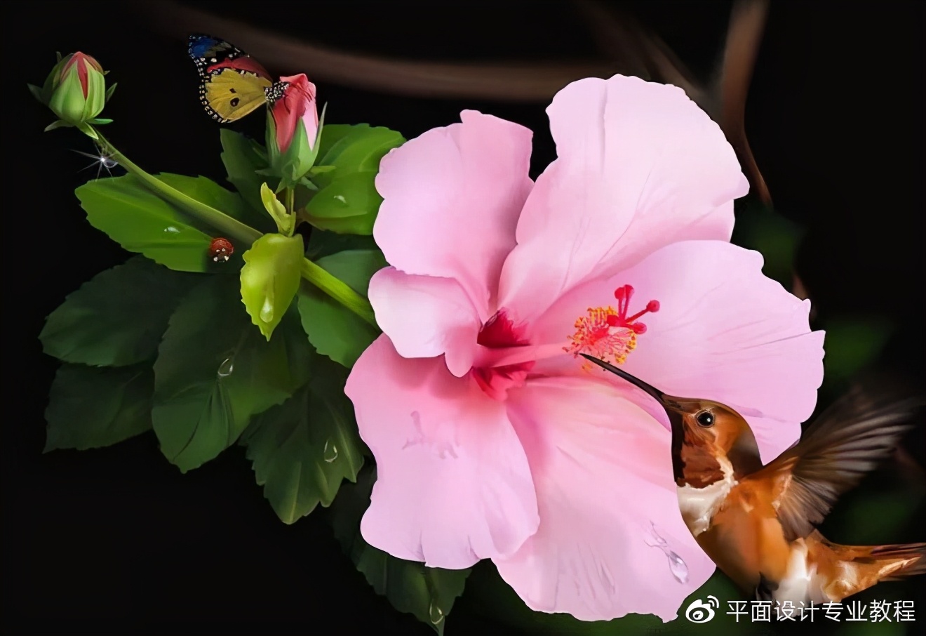 制作平面广告图片软件,平面广告设计用什么软件