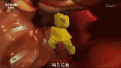 康萃乐益生菌全部产品,一年卖出2亿多颗药