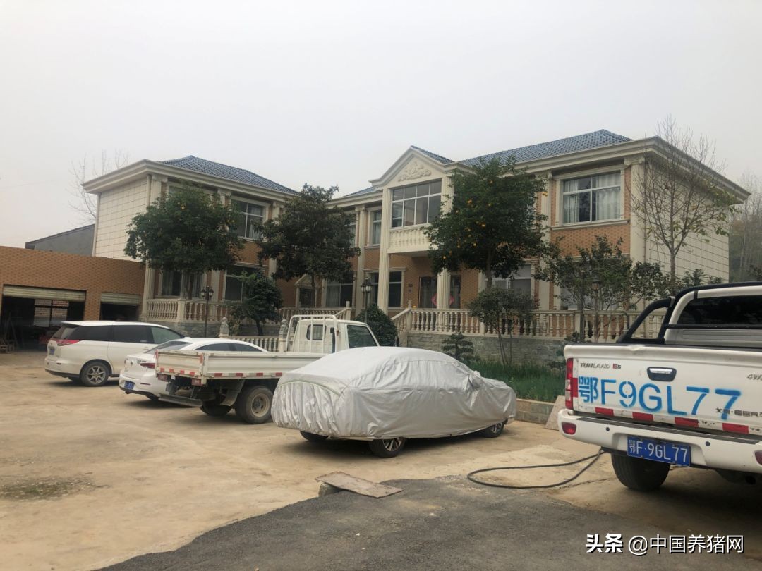 非瘟拔牙成功的案例,拔牙治愈过程