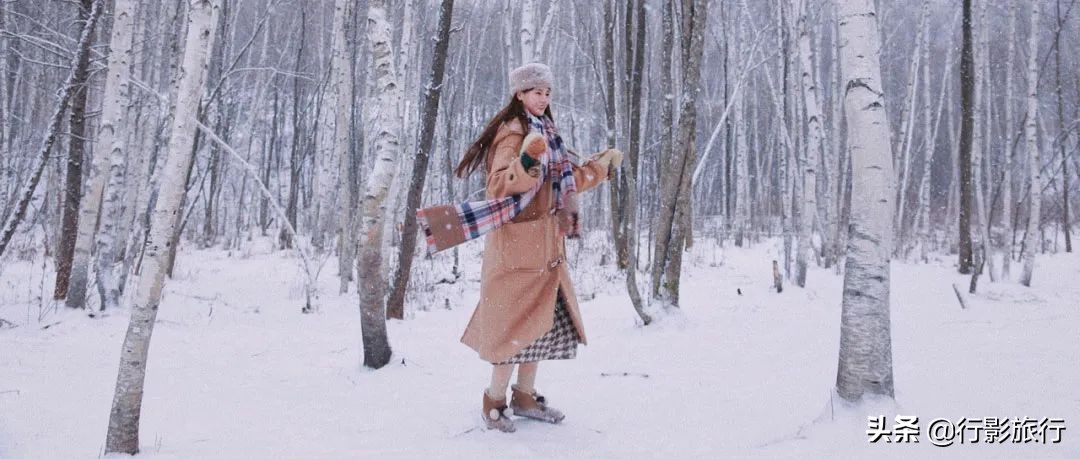 东北人是如何评价日本人的,作为东北人你怎么评价哈尔滨