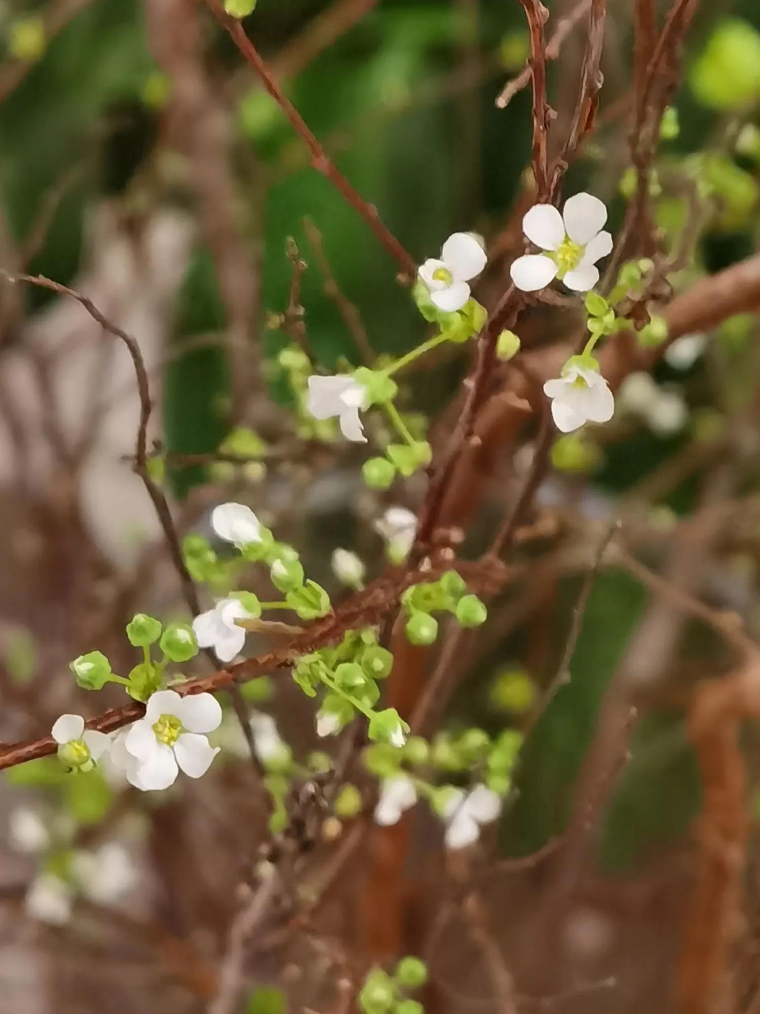 当你朋友不开心时怎么安慰他,当你的朋友不开心要怎么哄呢