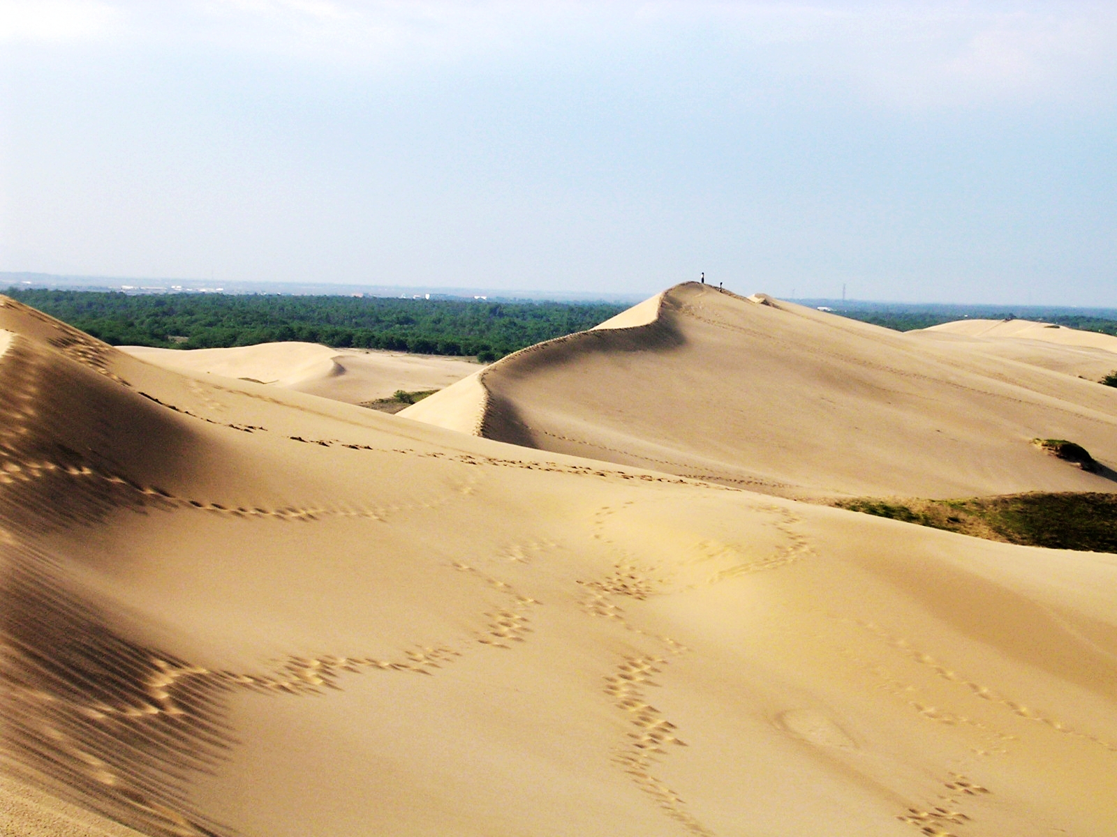 纪念失去后的重生,纪念失去的一切