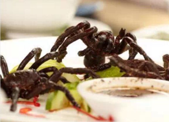 柬埔寨的那些事儿,柬埔寨你不知道的10件事