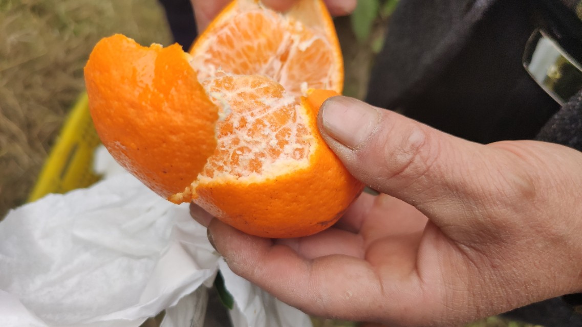 网上买水果可靠吗,网上买车厘子靠谱吗