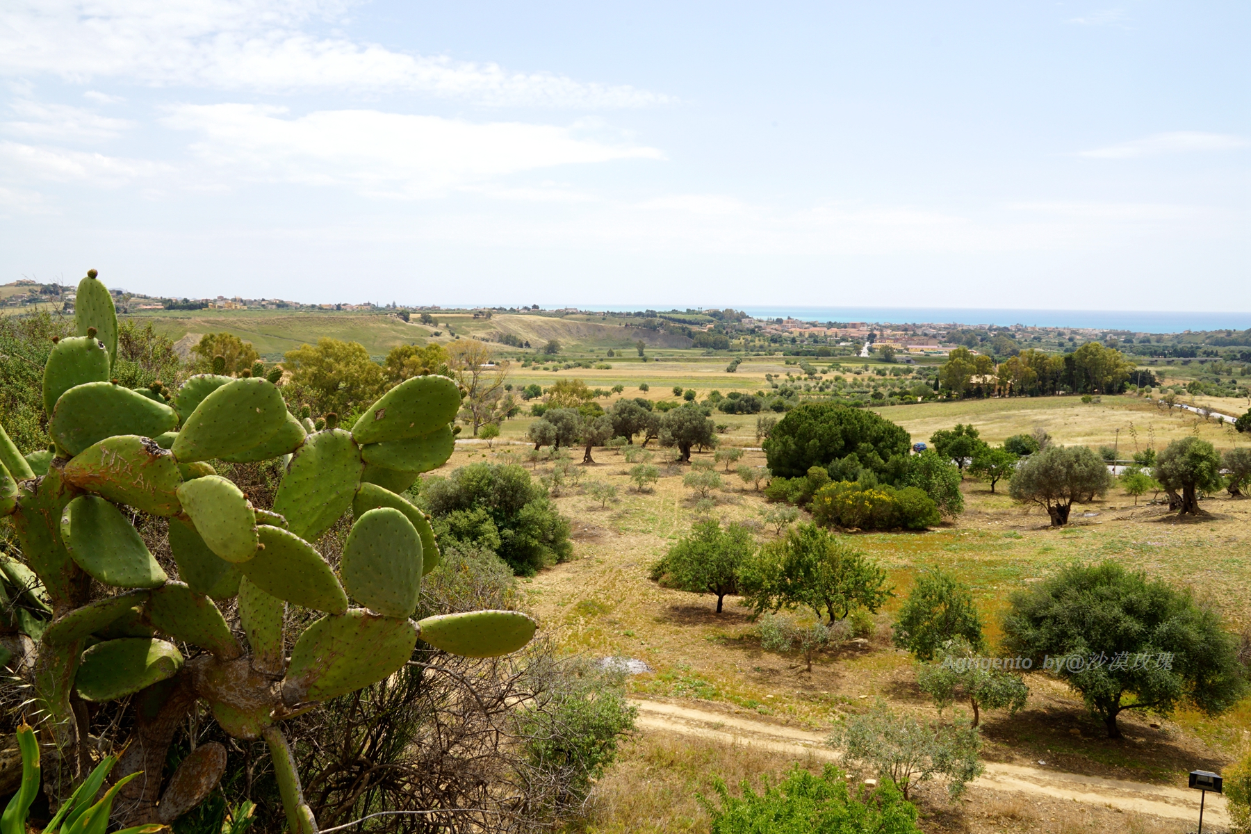 联合国教科文组织公认的四大古都,联合国教科文组织世界遗址