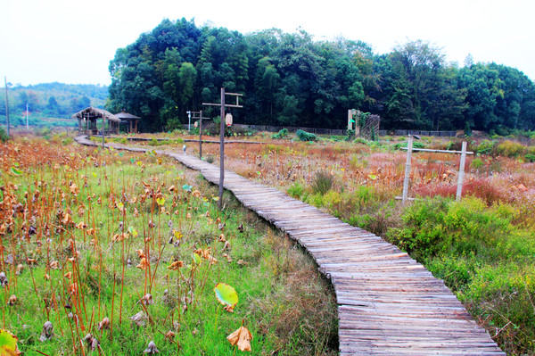 鄱湖之秋,鄱湖之滨信江之畔余干