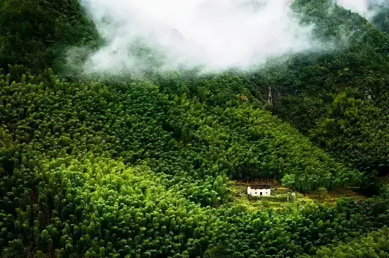 有个院子让生活过成诗,租个院子过田园生活