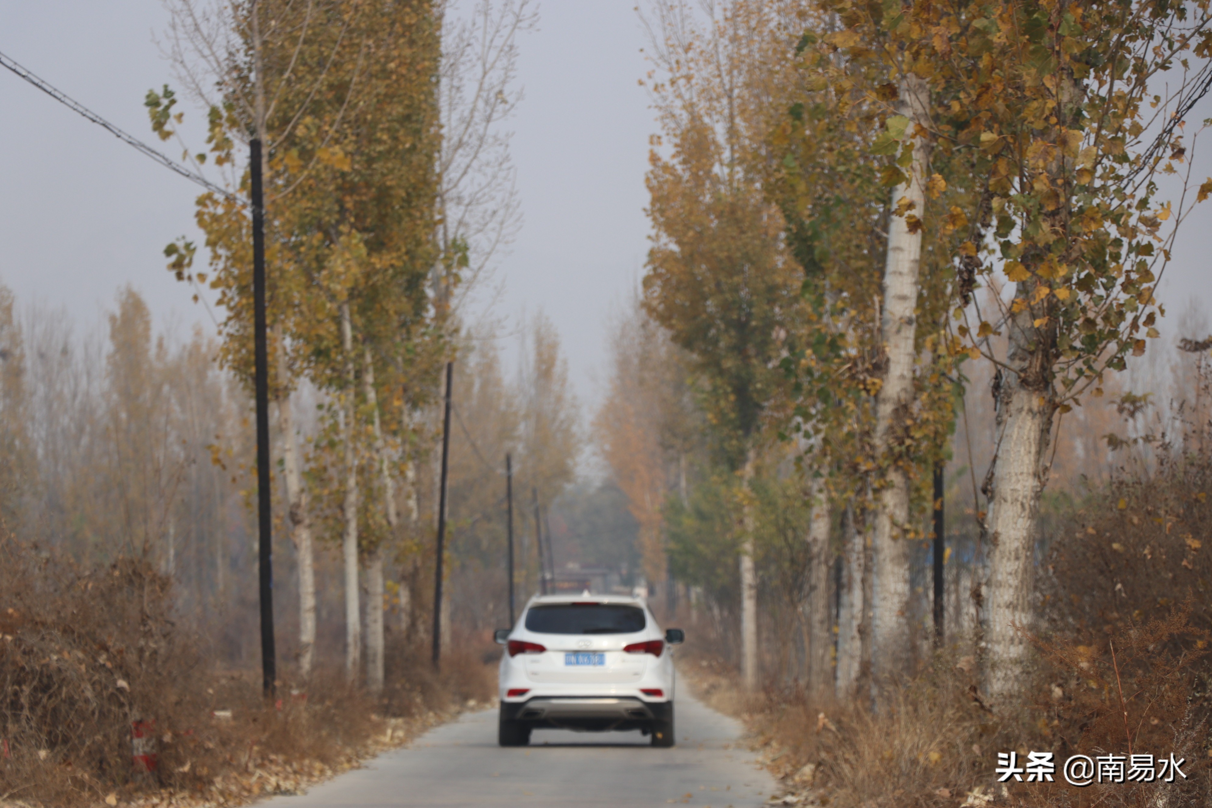 家乡风景带你一起感受自然的味道,令你难以忘怀的家乡的味道