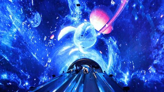 开启非凡住宿万豪旅享家,万豪旅享家邂逅城市五星级酒店