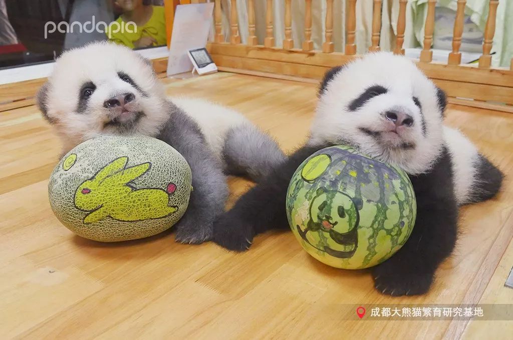 冬天就是要拥抱,冬季拥有温暖的抱枕