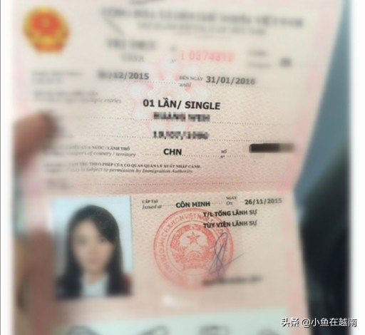 越南自由行需要准备多少钱,越南穷游攻略10天视频