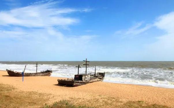 来日照旅游哪里吃海鲜自助,日照好玩不要钱的海边