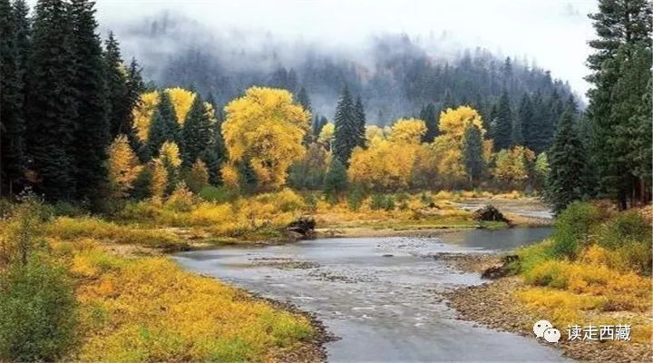 鲁霞美景,鲁霞村风光