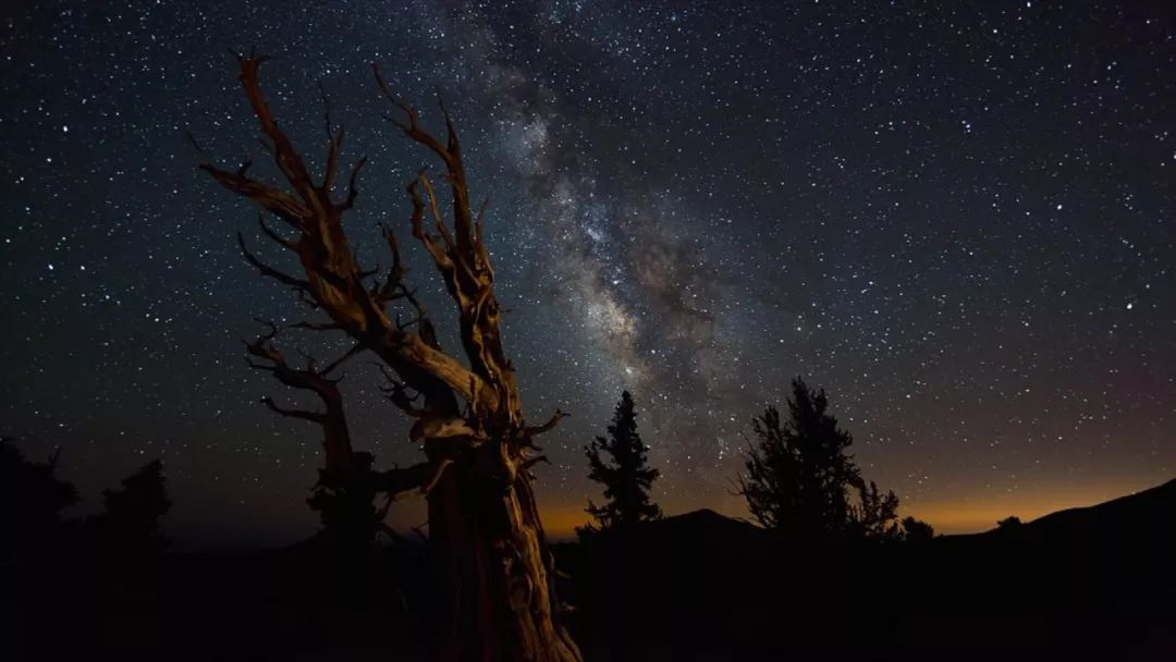 暑期必看的炸裂口碑纪录片,暑期不虚度七部神级纪录片陪你