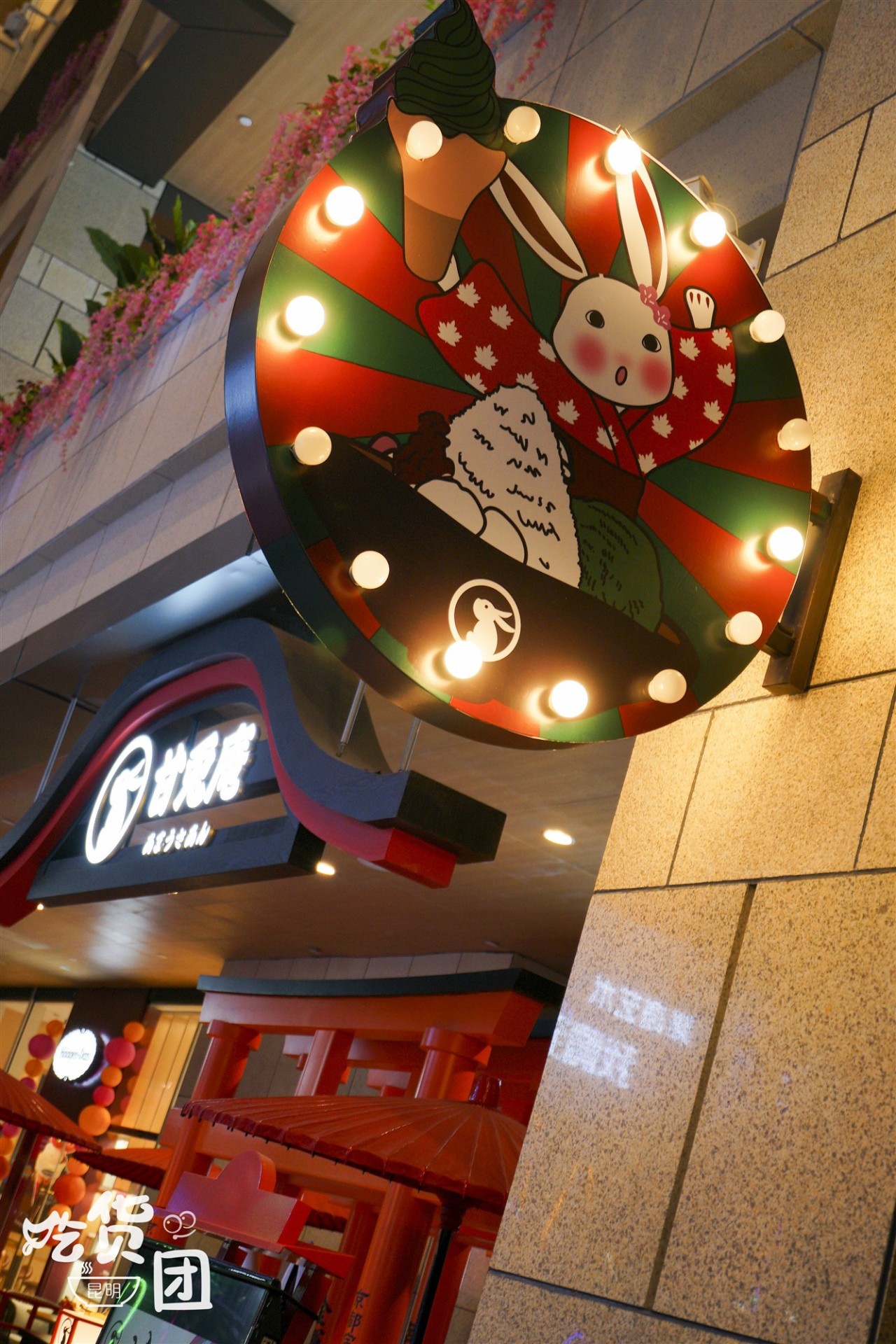 网红甘兔庵空降昆明，软萌妹纸都扎堆这里！