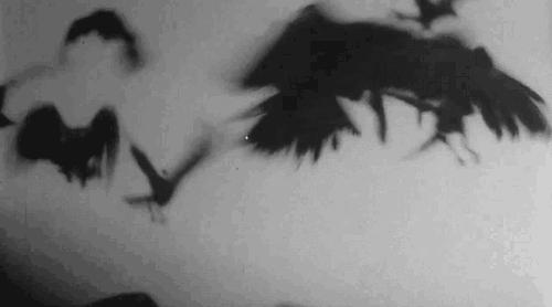 蚊子灭蚊神曲,驱蚊神曲2首