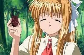 跟虫子谈恋爱,跟昆虫谈恋爱