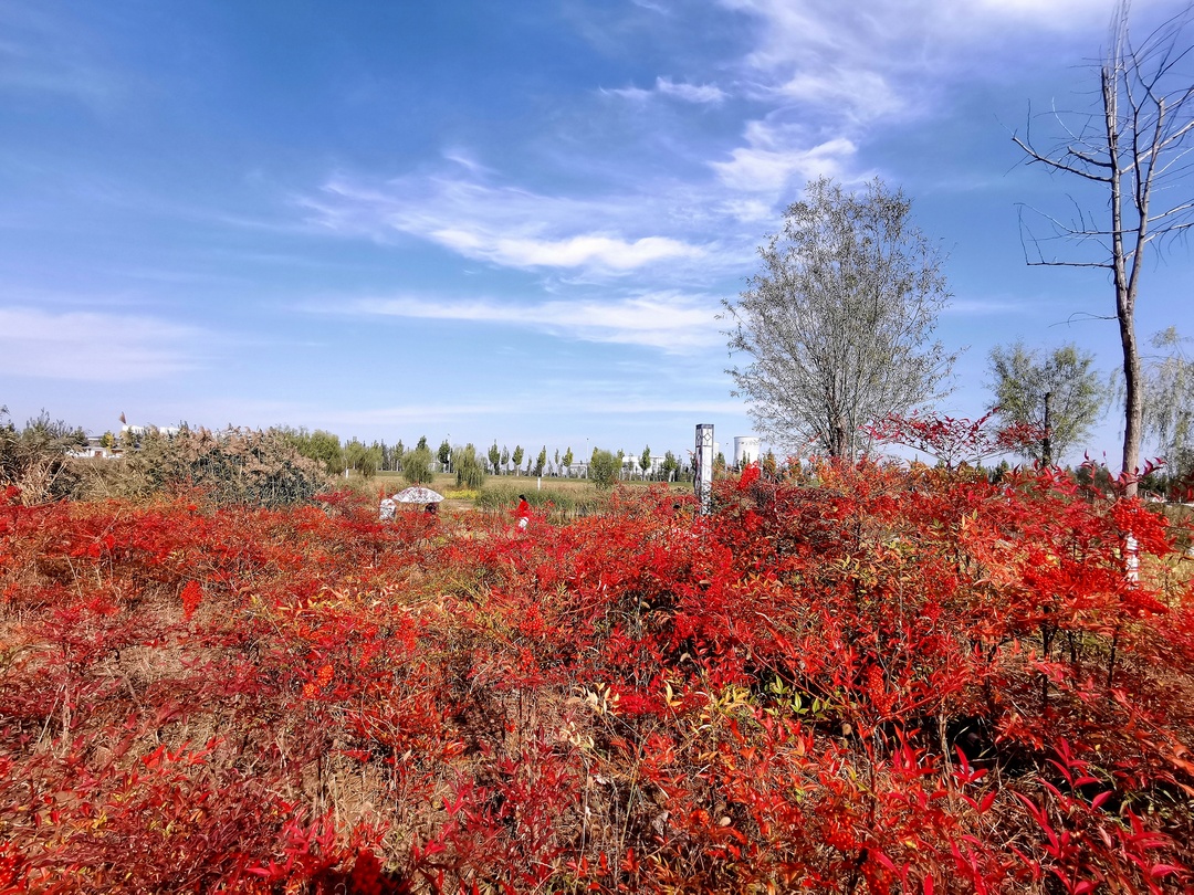 荆山旅游景点大全,荆山美景