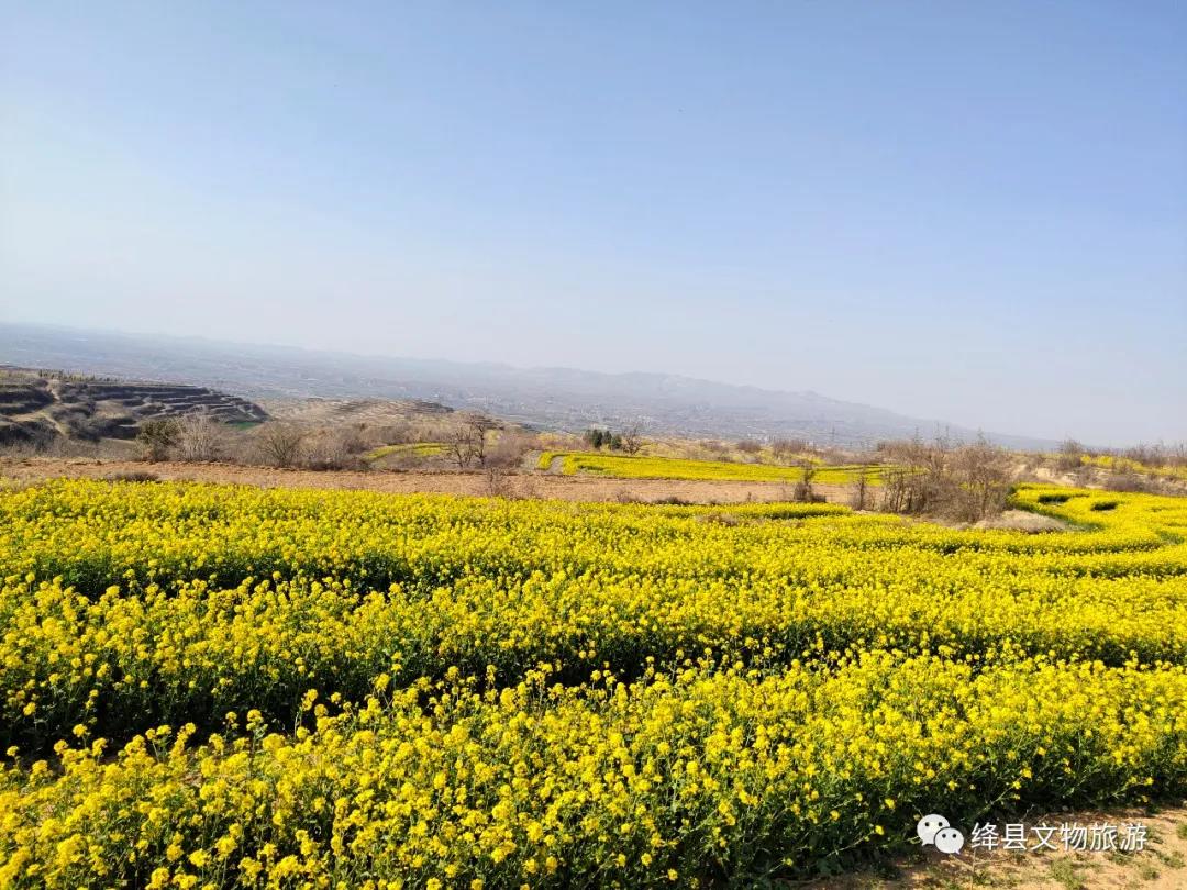 美丽乡村百花节,美丽乡村山花节