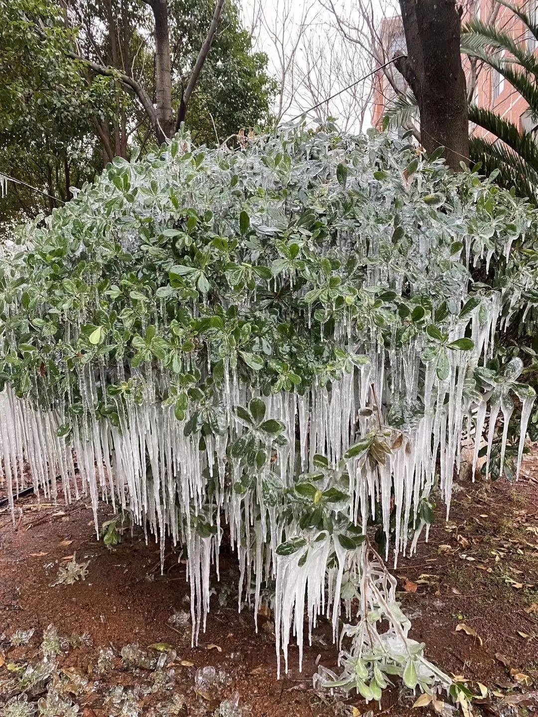 大寒潮小寒潮,寒潮带来大范围降雪
