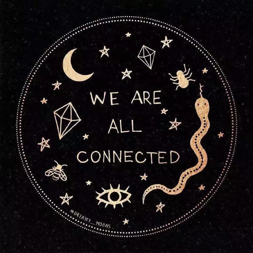 “*力暴**御姐”张雨绮当众扇汪小菲巴掌｜特别报道：遭受家暴的男性