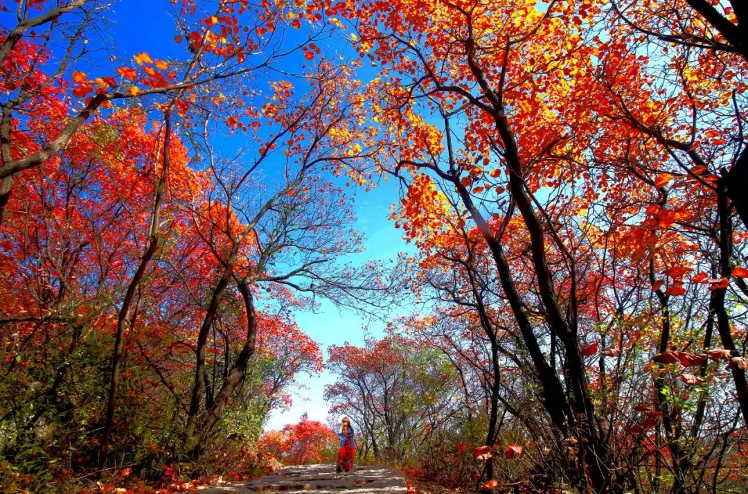 颜值惊艳神仙颜值,颜值爆表长相逆天
